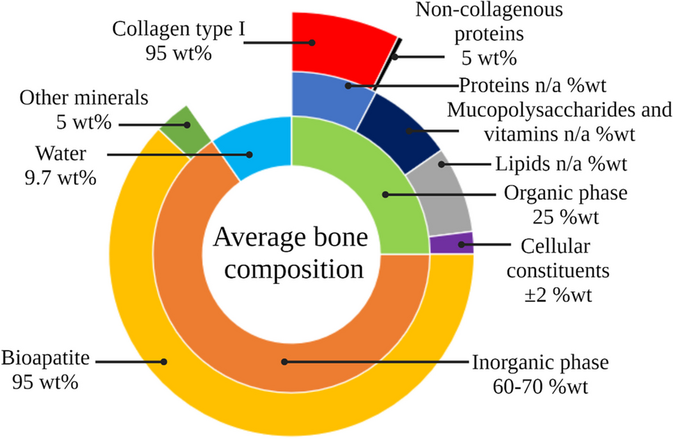 An overview of the heat-induced changes of the chemical composition of bone from fresh to calcined