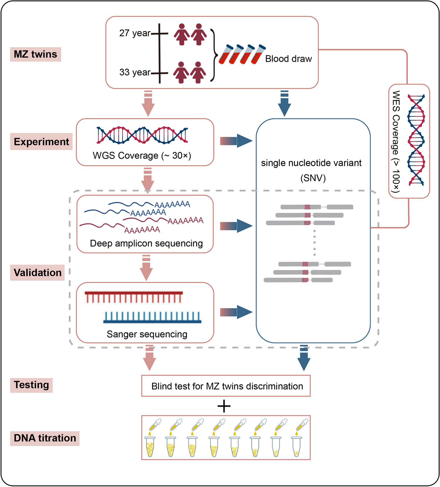 Technical strategy for monozygotic twin discrimination by single-nucleotide variants