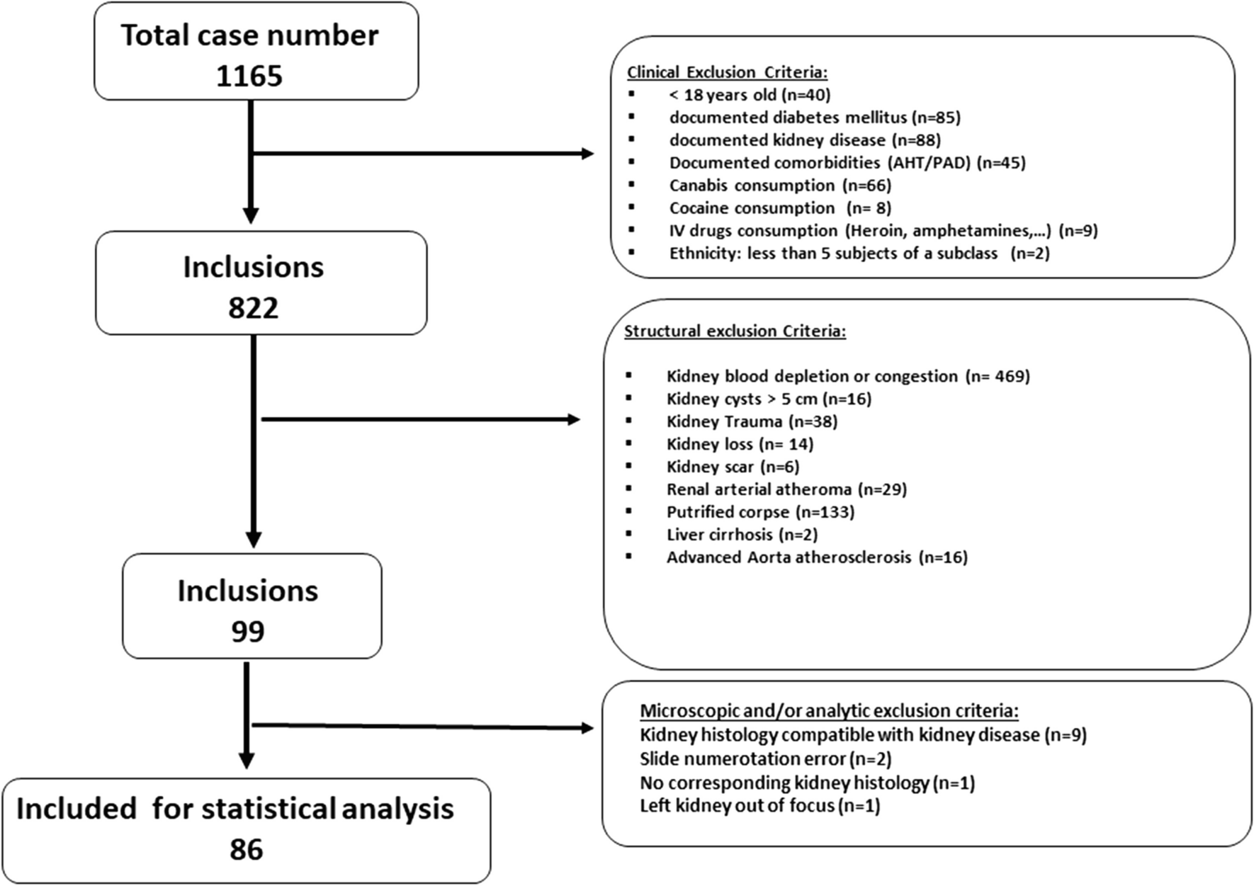 A new, deep learning–based method for the analysis of autopsy kidney samples used to study sex differences in glomerular density and size in a forensic population