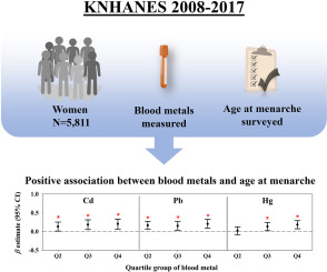 Association of blood metal exposure with age at menarche in Korean women: KNHANES (2008–2017)