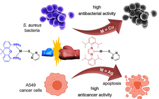 N-heterocyclic-carbene vs diphosphine auxiliary ligands in thioamidato Cu(I) and Ag(I) complexes towards the development of potent and dual-activity antibacterial and apoptosis-inducing anticancer agents