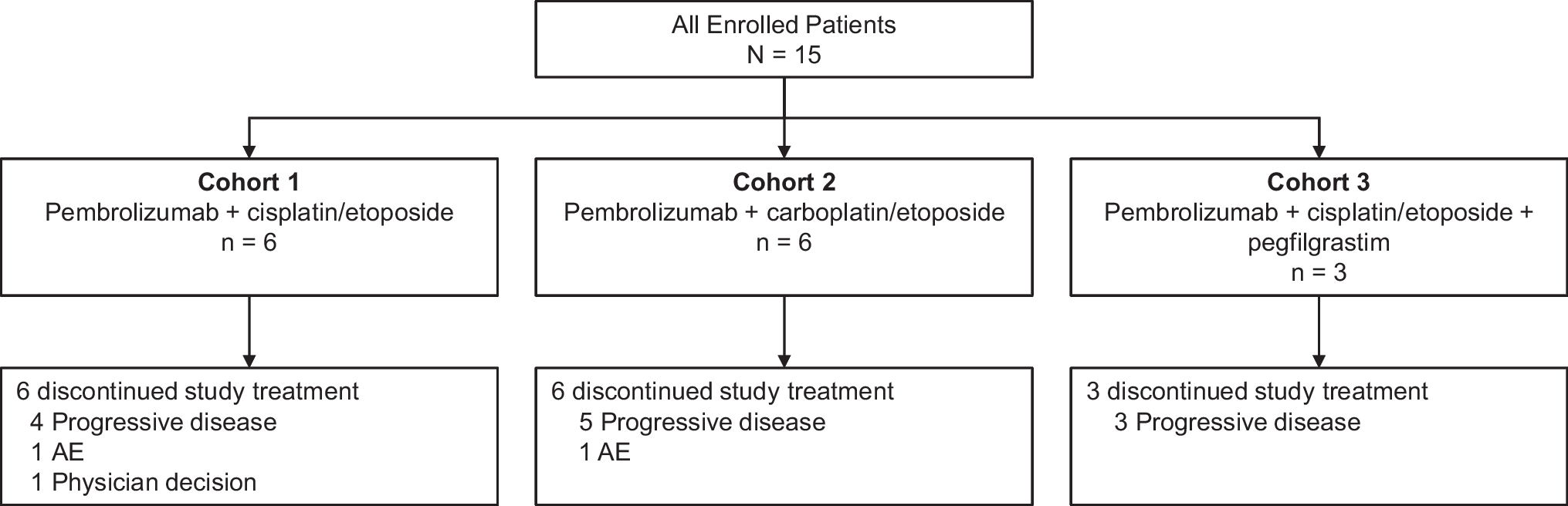 Phase 1 study of pembrolizumab plus chemotherapy in Japanese patients with extensive-stage small-cell lung cancer