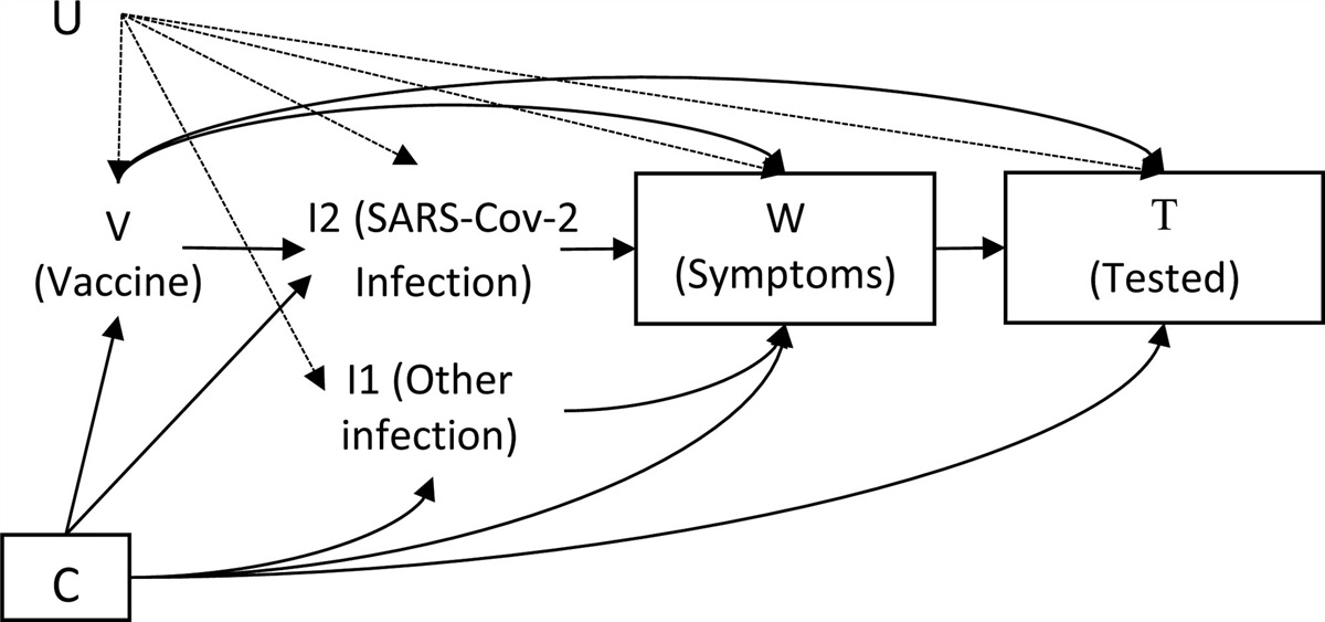 Bias-interpretability Trade-offs in Vaccine Effectiveness Studies Using Test-negative or Cohort Designs