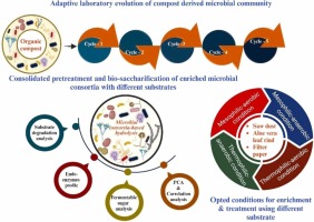 A concerted enzymatic de-structuring of lignocellulosic materials using a compost-derived microbial consortia favoring the consolidated pretreatment and bio-saccharification