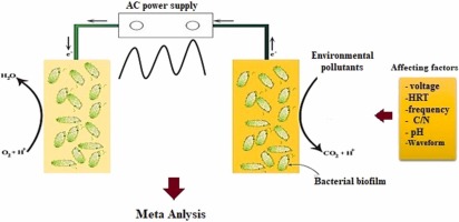 Environmental pollution removal using electrostimulation of microorganisms by alternative current