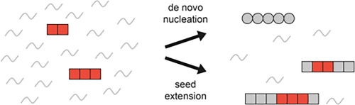 Cryo-EM Analysis of the Effect of Seeding with Brain-derived Aβ Amyloid Fibrils
