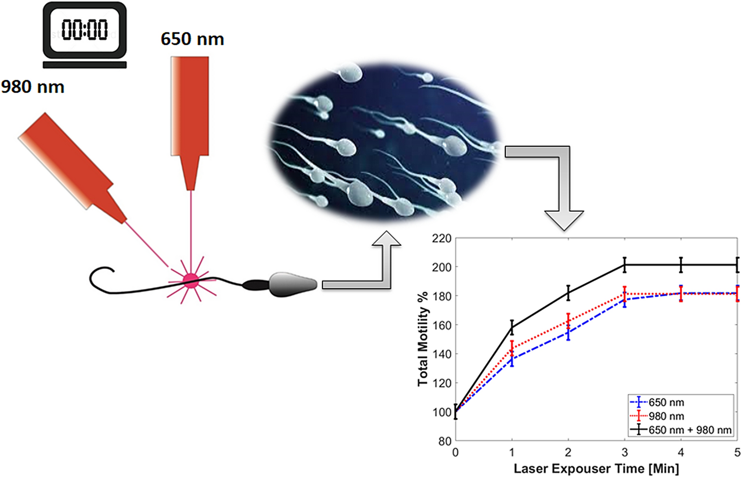 Improving human sperm motility via red and near-infrared laser irradiation: in-vitro study