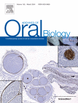 Biological properties of stem cells from the apical papilla exposed to lipopolysaccharides: An in vitro study