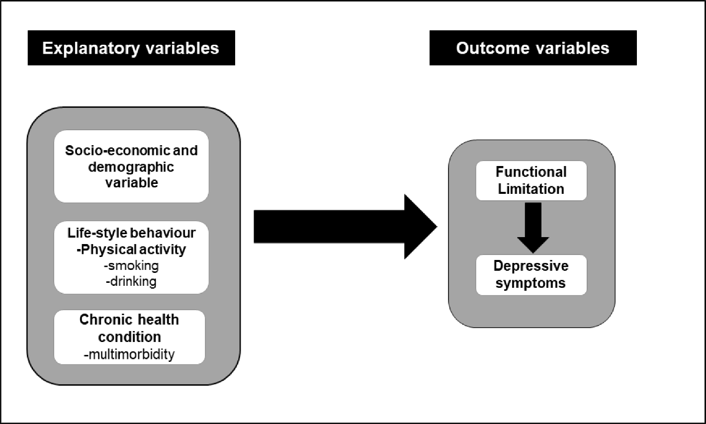 Functional Limitations and Depressive Symptoms among older people in India: Examining the Role of Physical Activity