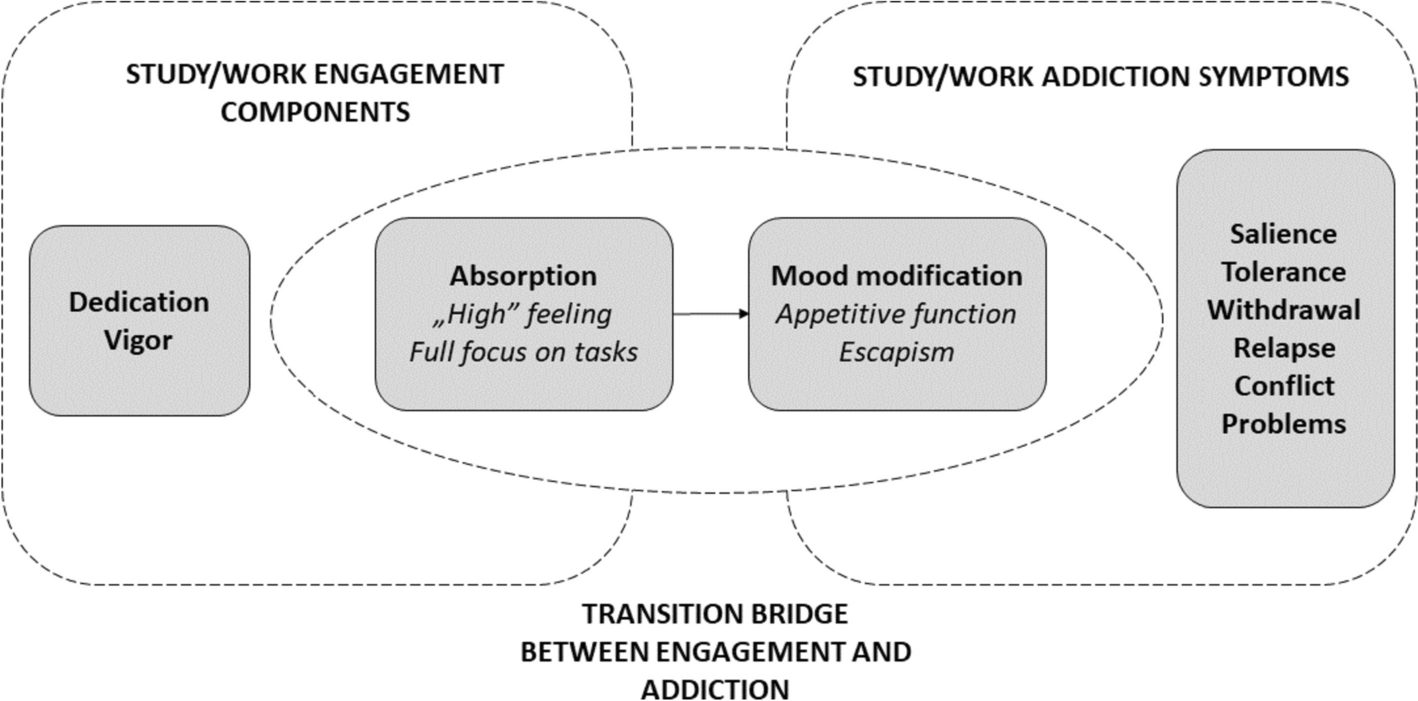 Similarities and Differences Between Study Addiction and Study Engagement and Work Addiction and Work Engagement: A Network Analysis