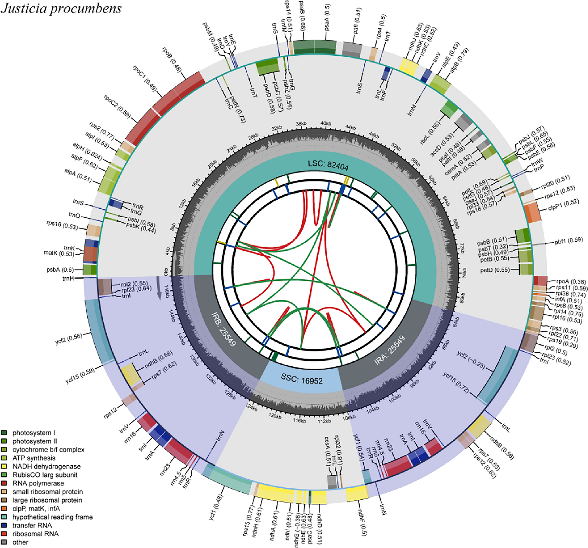 Chloroplast genome of Justicia procumbens: genomic features, comparative analysis, and phylogenetic relationships among Justicieae species