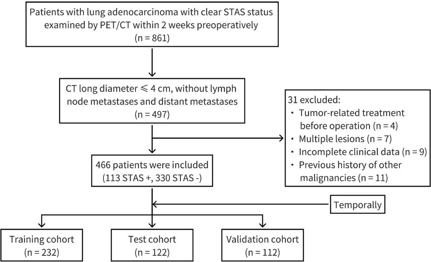 Development and validation of a clinic-radiological model to predict tumor spread through air spaces in stage I lung adenocarcinoma