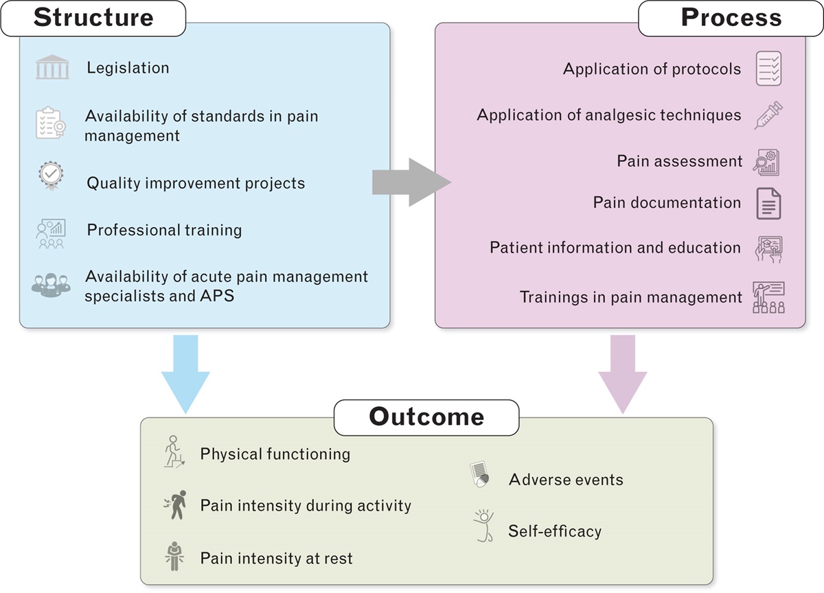 Perioperative pain management models in four European countries: A narrative review of differences, similarities and future directions