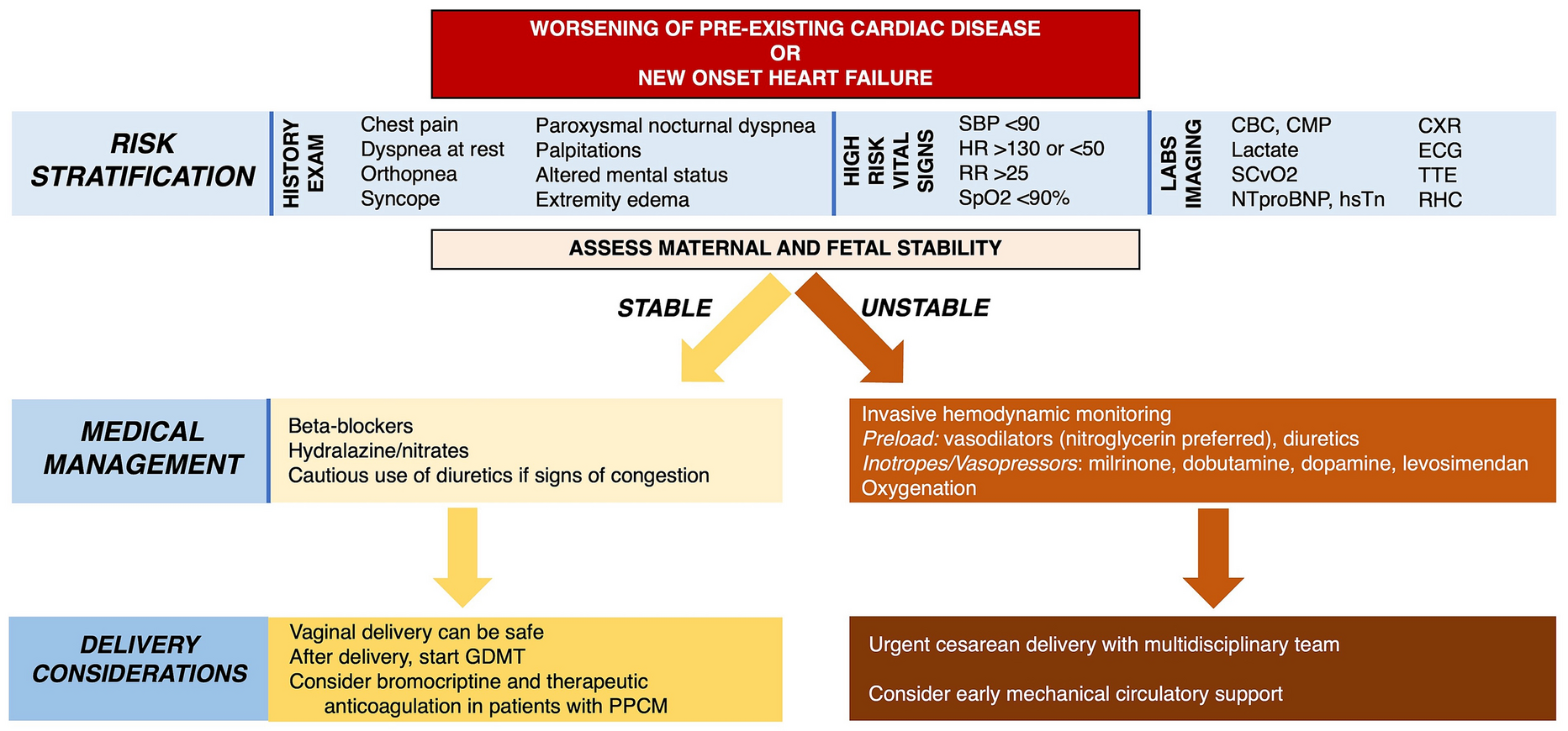Contemporary Management of Cardiomyopathy and Heart Failure in Pregnancy