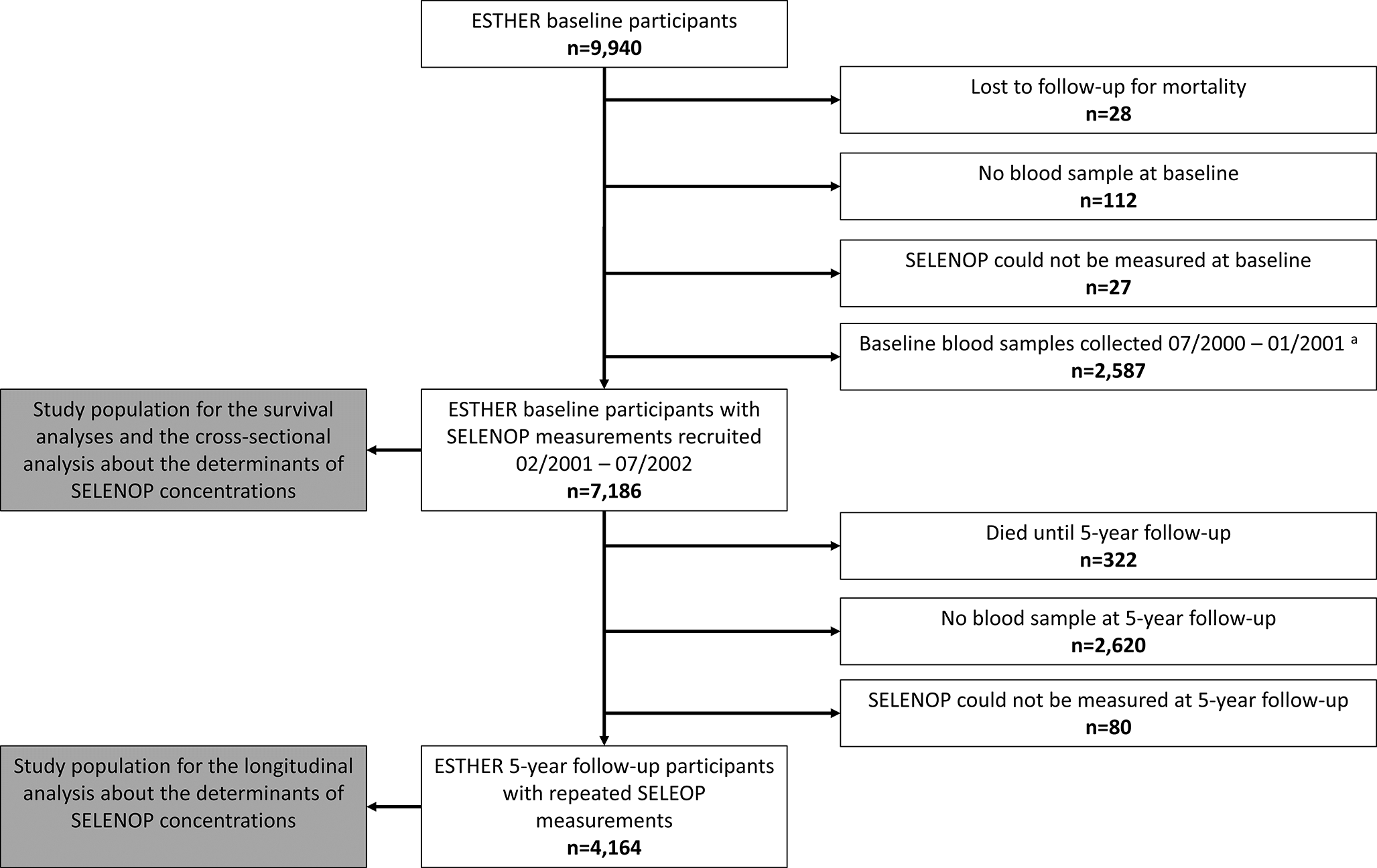 Strong associations of serum selenoprotein P with all-cause mortality and mortality due to cancer, cardiovascular, respiratory and gastrointestinal diseases in older German adults
