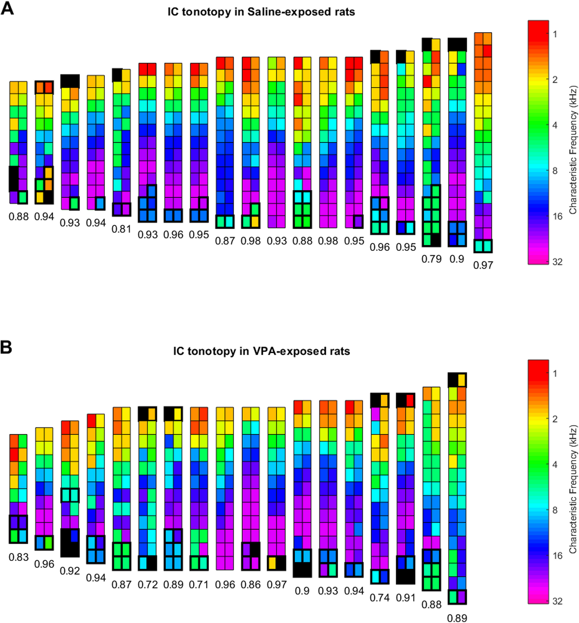 Degraded inferior colliculus responses to complex sounds in prenatally exposed VPA rats