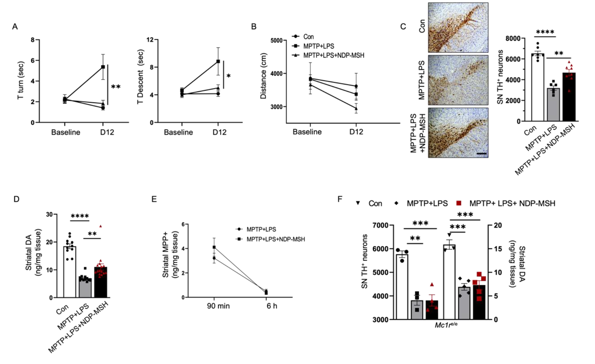Peripheral MC1R Activation Modulates Immune Responses and is Neuroprotective in a Mouse Model of Parkinson’s Disease