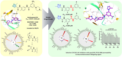 Discovery of N-(5-amido-2-methylphenyl)-5-methylisoxazole-3-carboxamide as dual CSF-1R/c-Kit Inhibitors with improved stability and BBB permeability