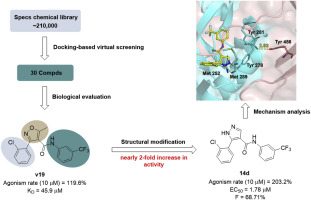 Identification of 3-aryl-5-methyl-isoxazole-4-carboxamide derivatives and analogs as novel HIF-2α agonists through docking-based virtual screening and structural modification