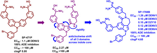 Carbazole to indolazepinone scaffold morphing leads to potent cell-active dengue antivirals