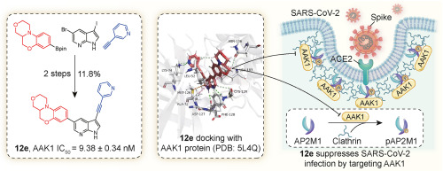 Design, synthesis and biological evaluation of novel 1,2,4a,5-tetrahydro-4H-benzo[b][1,4]oxazino[4,3-d][1,4]oxazine-based AAK1 inhibitors with anti-viral property against SARS-CoV-2