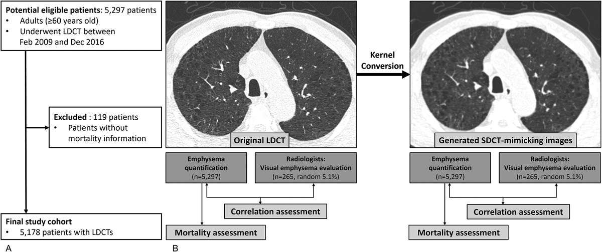Deep Learning–Based Kernel Adaptation Enhances Quantification of Emphysema on Low-Dose Chest CT for Predicting Long-Term Mortality