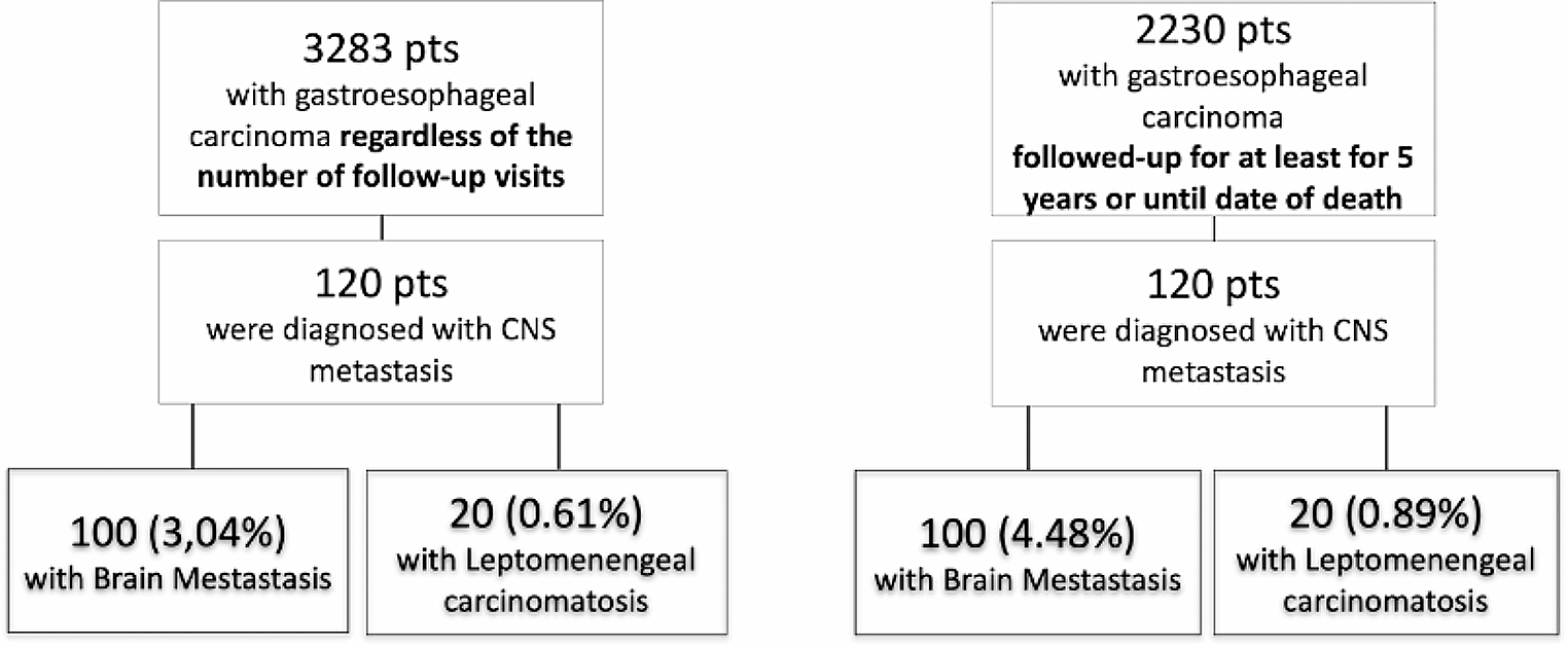Leptomeningeal carcinomatosis and brain metastases in gastroesophageal carcinoma: a real-world analysis of clinical and pathologic characteristics and outcomes
