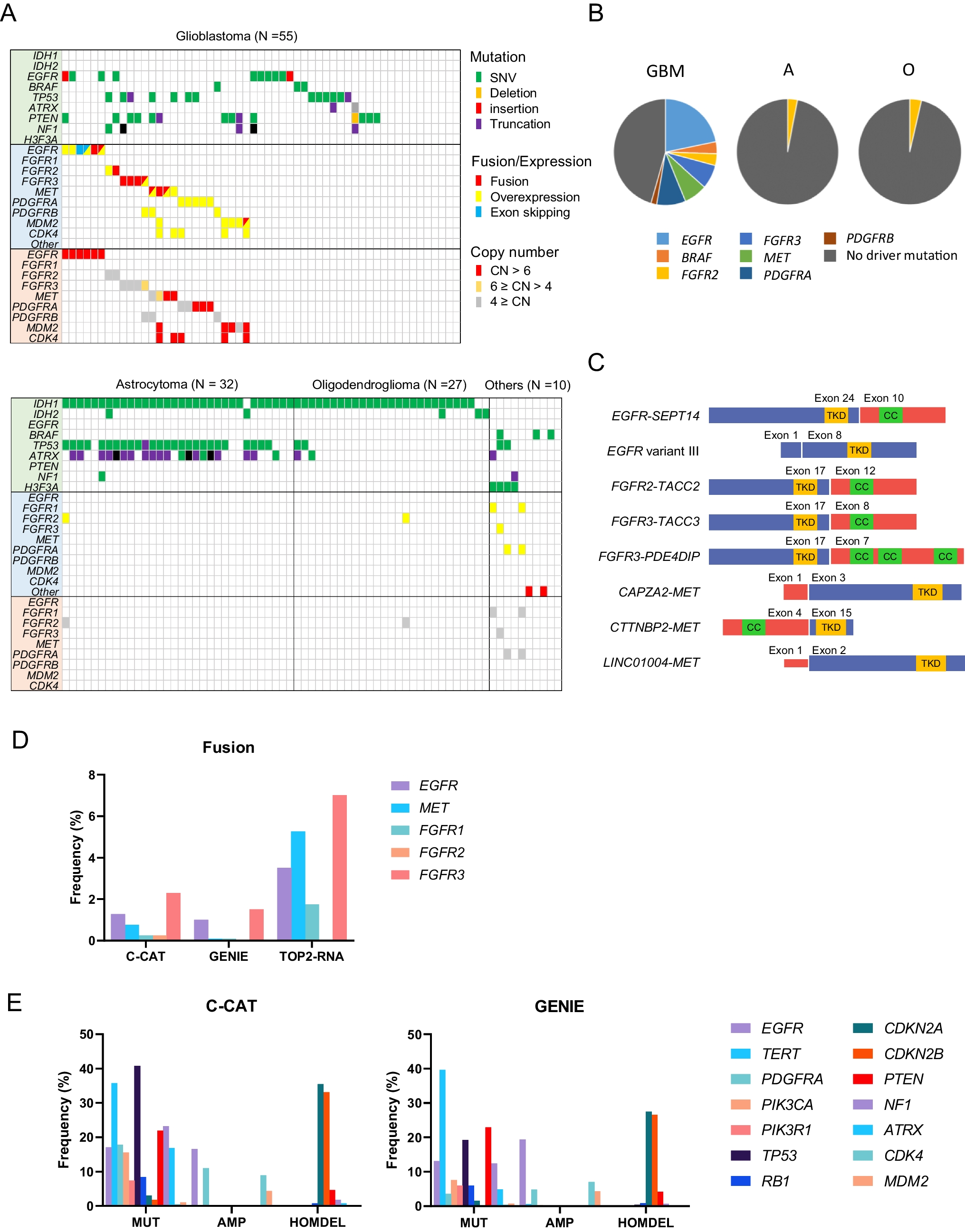 The development of a custom RNA-sequencing panel for the identification of predictive and diagnostic biomarkers in glioma