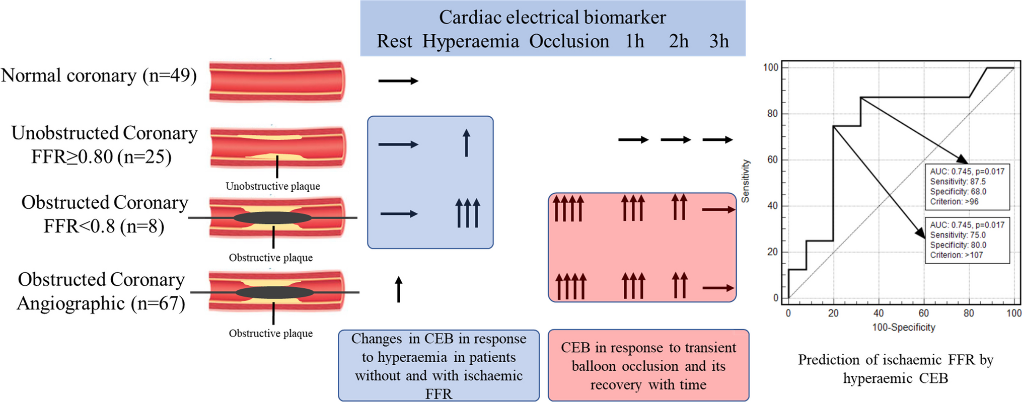 Changes in Cardiac Electrical Biomarker in Response to Coronary Arterial Occlusion: An Experimental Observation