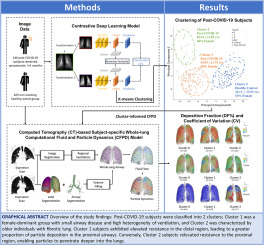 Investigating distributions of inhaled aerosols in the lungs of post-COVID-19 clusters through a unified imaging and modeling approach