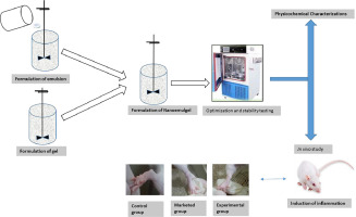 Formulation development of pharmaceutical nanoemulgel for transdermal delivery of feboxostat: Physical characterization and in vivo evaluation