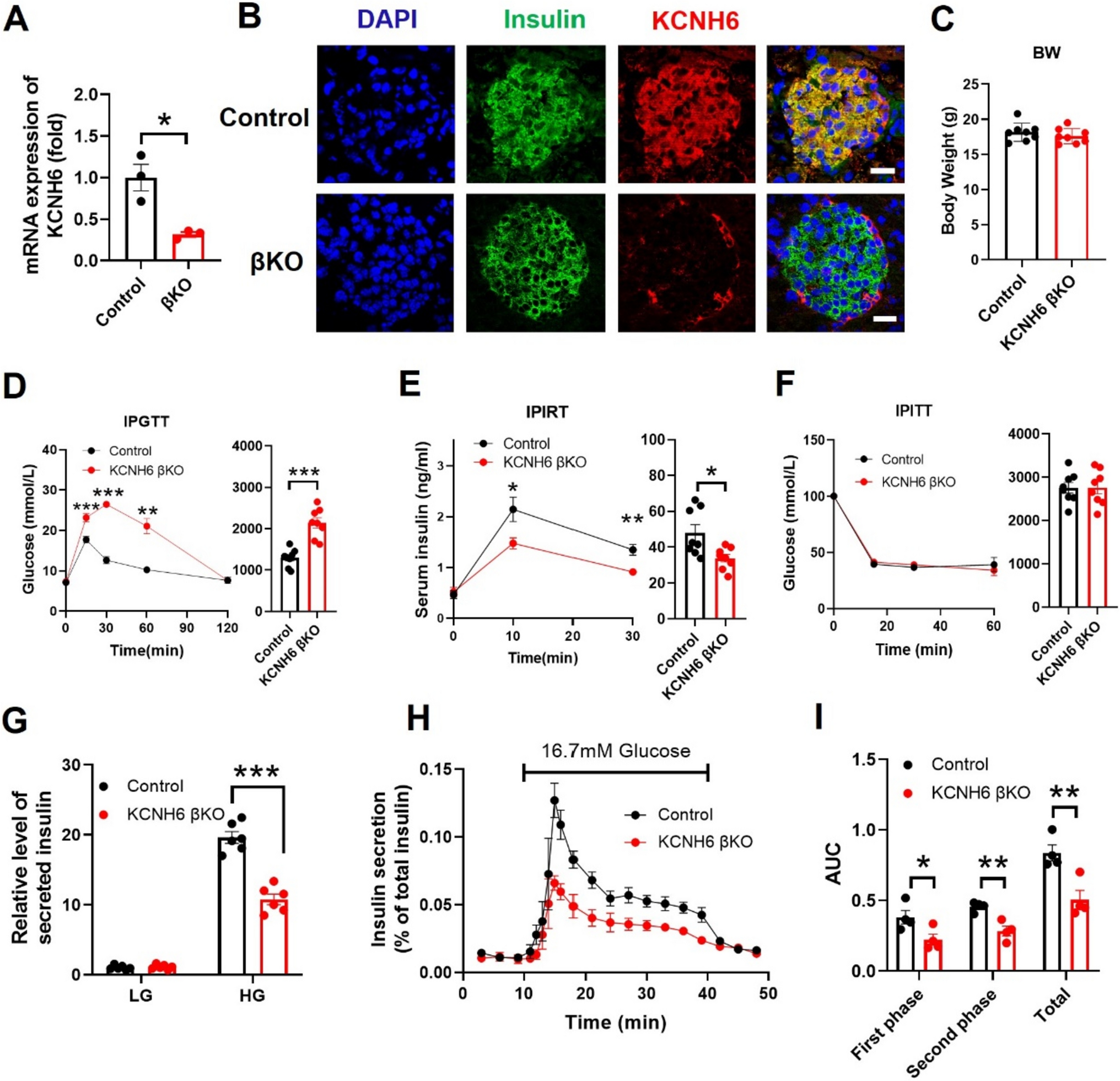 KCNH6 channel promotes insulin exocytosis via interaction with Munc18-1 independent of electrophysiological processes