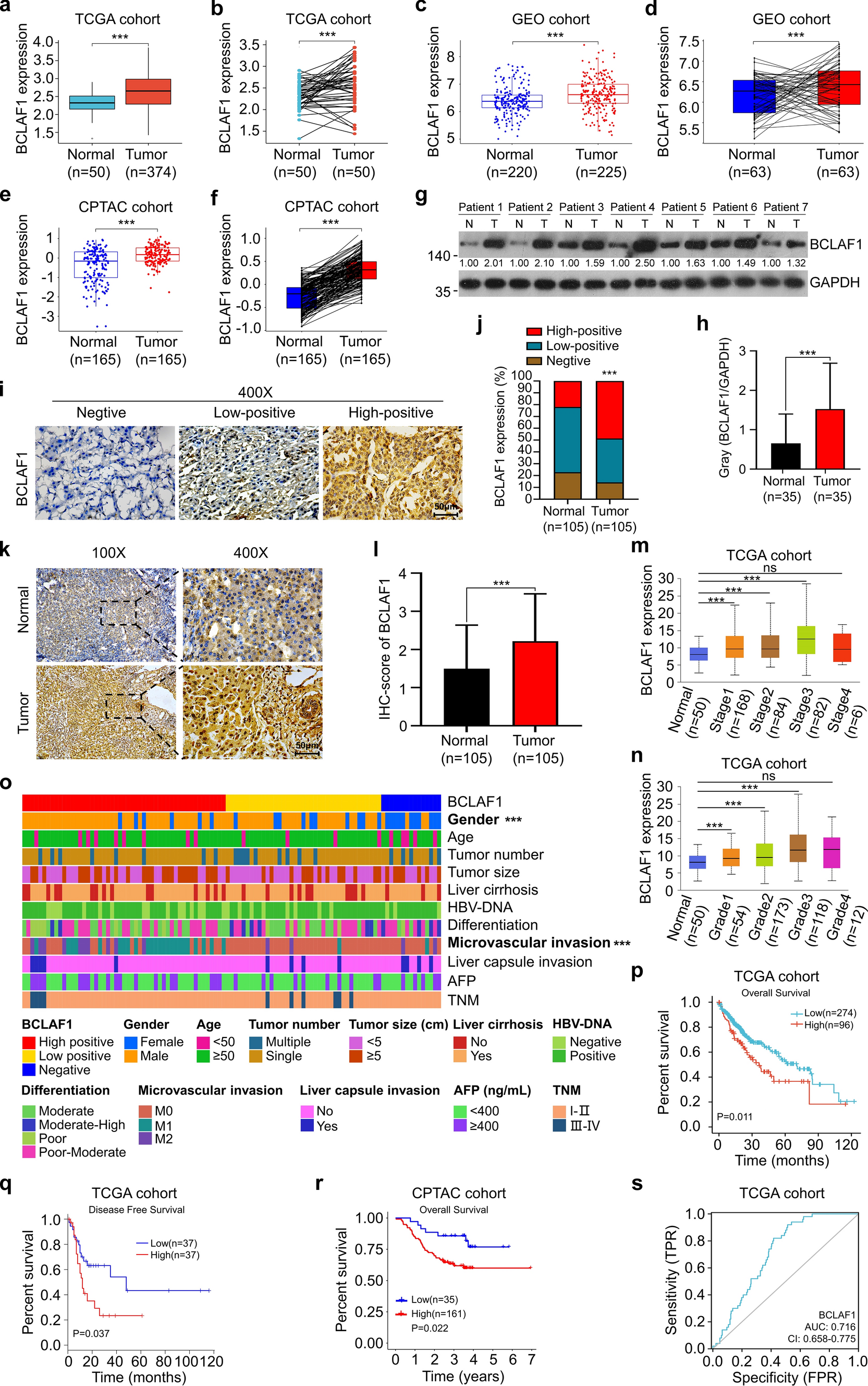 BCLAF1 binds SPOP to stabilize PD-L1 and promotes the development and immune escape of hepatocellular carcinoma