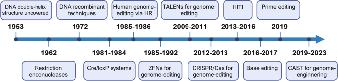 Precise genome-editing in human diseases: mechanisms, strategies and applications