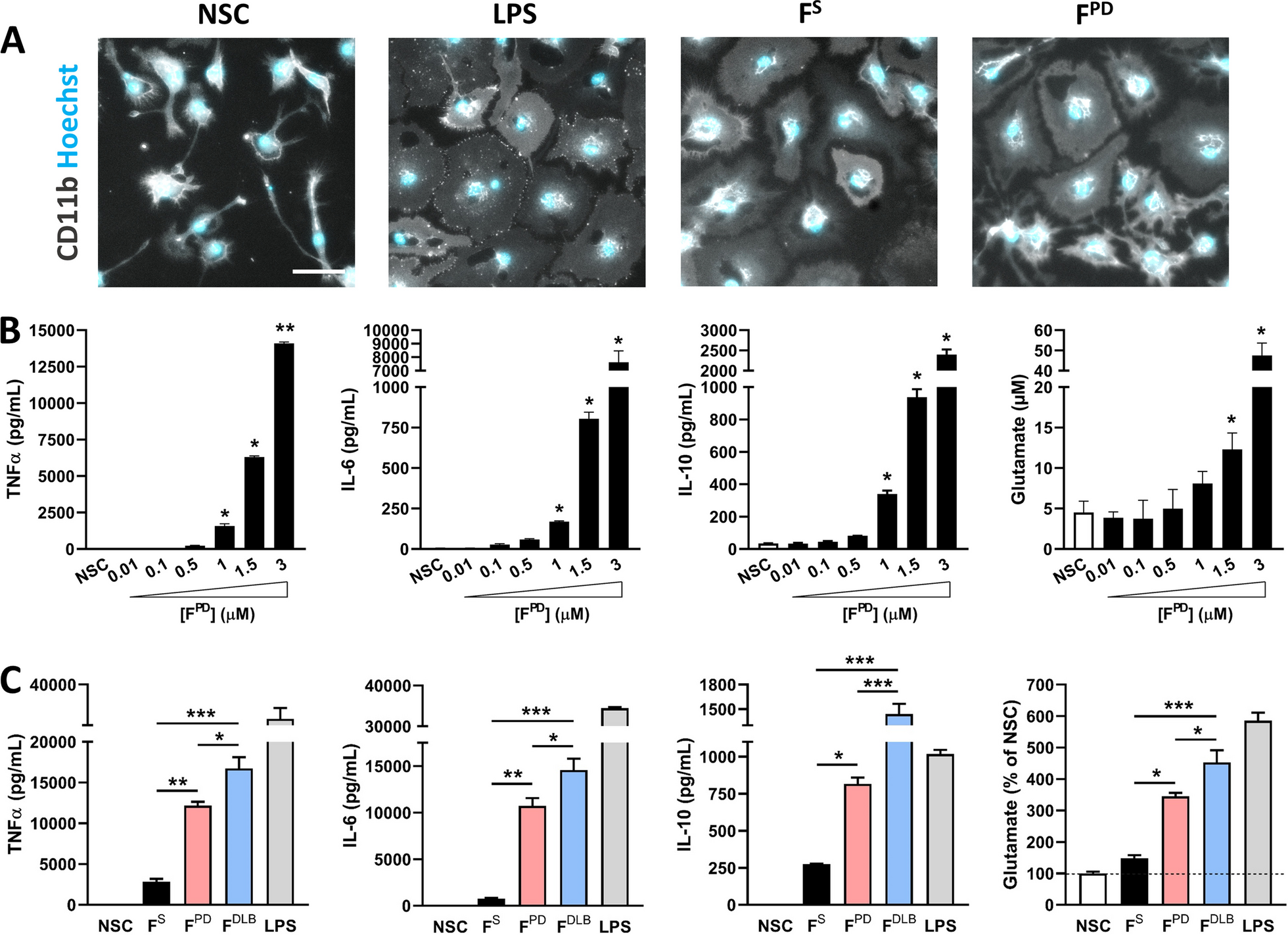 Parkinson’s disease-derived α-synuclein assemblies combined with chronic-type inflammatory cues promote a neurotoxic microglial phenotype