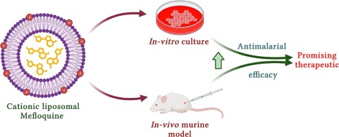 Enhanced anti-malarial efficacy of mefloquine delivered via cationic liposome in a murine model of experimental cerebral malaria