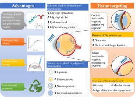 Polymeric microneedles for the eye: An overview of advances and ocular applications for minimally invasive drug delivery