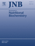 Molecular mechanism and therapeutic significance of essential amino acids in metabolically associated fatty liver disease