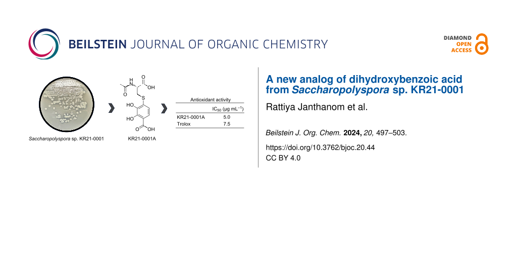 A new analog of dihydroxybenzoic acid from Saccharopolyspora sp. KR21-0001