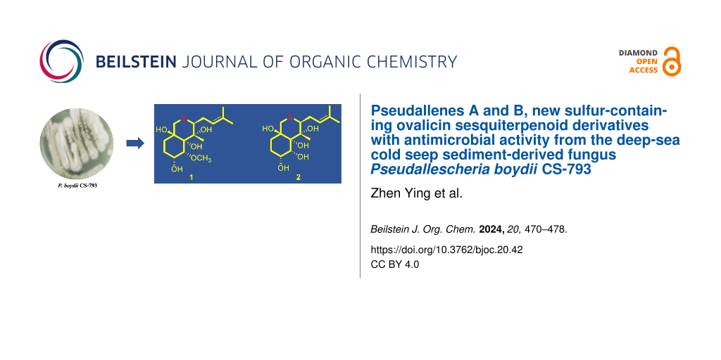Pseudallenes A and B, new sulfur-containing ovalicin sesquiterpenoid derivatives with antimicrobial activity from the deep-sea cold seep sediment-derived fungus Pseudallescheria boydii CS-793