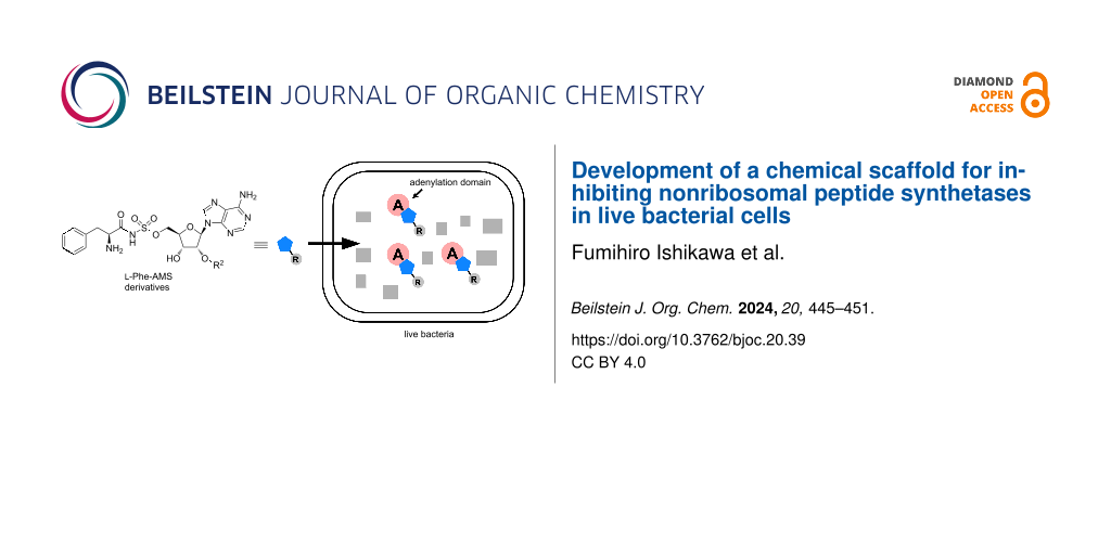 Development of a chemical scaffold for inhibiting nonribosomal peptide synthetases in live bacterial cells