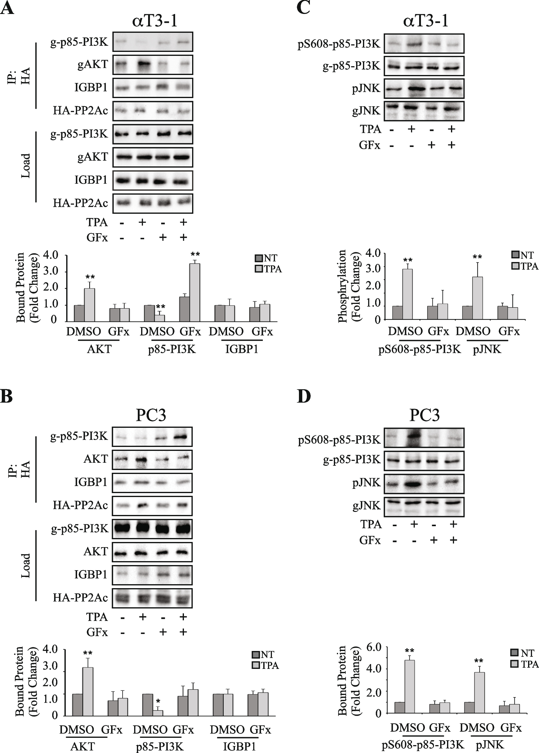 Phosphorylation of PP2Ac by PKC is a key regulatory step in the PP2A-switch-dependent AKT dephosphorylation that leads to apoptosis