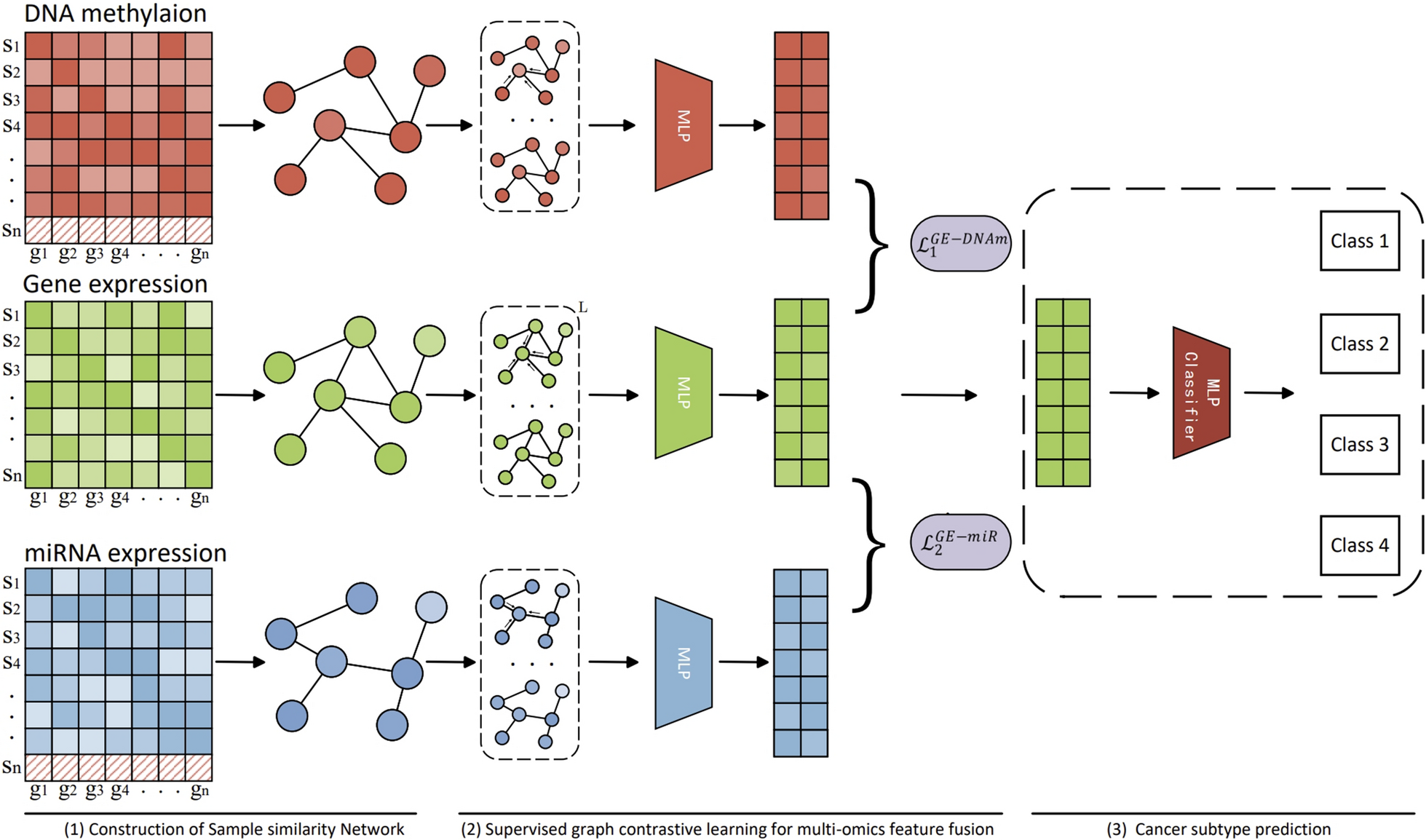 Supervised graph contrastive learning for cancer subtype identification through multi-omics data integration
