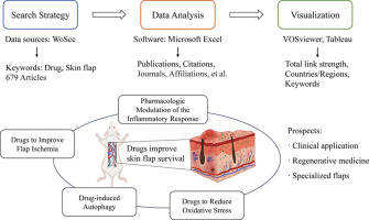 Global hotspots and future directions for drugs to improve the skin flap survival: A bibliometric and visualized review