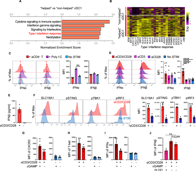 CD4+ T cells produce IFN-I to license cDC1s for induction of cytotoxic T-cell activity in human tumors