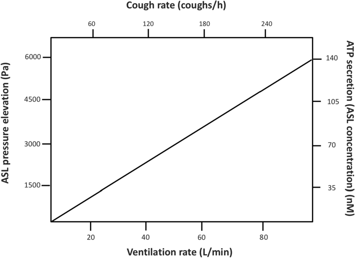 Mucus Transpiration as the Basis for Chronic Cough and Cough Hypersensitivity