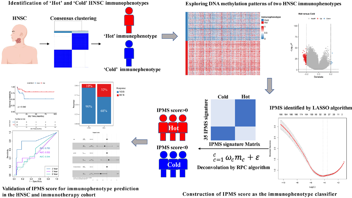 DNA-methylome-derived epigenetic fingerprint as an immunophenotype indicator of durable clinical immunotherapeutic benefits in head and neck squamous cell carcinoma