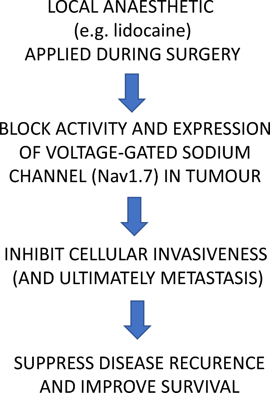 Lidocaine Inhibits Rat Prostate Cancer Cell Invasiveness and Voltage-Gated Sodium Channel Expression in Plasma Membrane