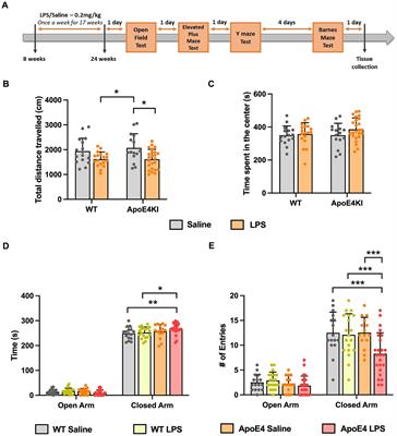 Modeling sporadic Alzheimer’s disease in mice by combining Apolipoprotein E4 risk gene with environmental risk factors