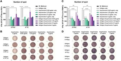 Isoprinosine as a foot-and-mouth disease vaccine adjuvant elicits robust host defense against viral infection through immunomodulation